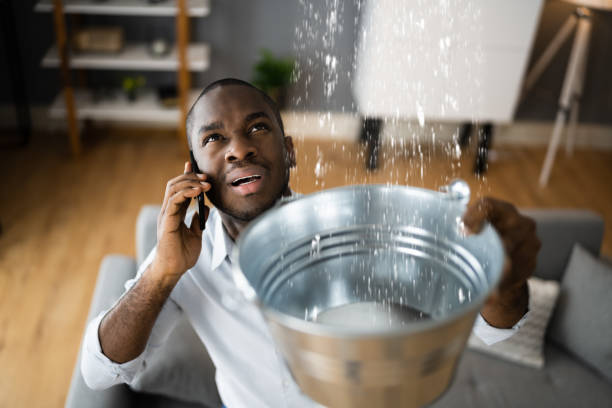 Carpet water damage restoration in Elkins, WV