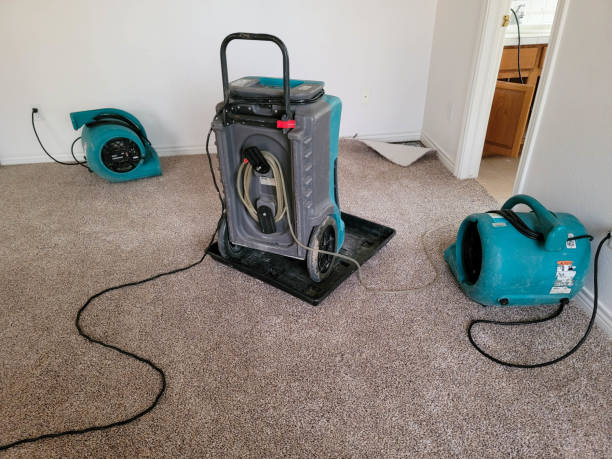 Reliable Elkins, WV Water damage restoration Solutions