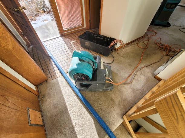 Best Residential water damage restoration  in Elkins, WV