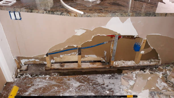 Best Fire Damage Restoration  in Elkins, WV