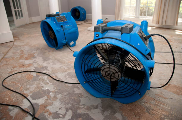 Water damage restoration insurance claims in Elkins, WV