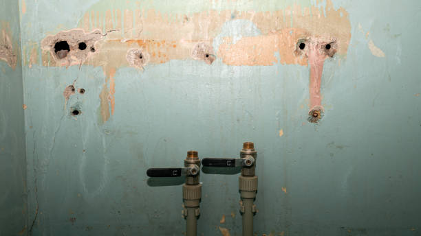 Best Water damage restoration insurance claims  in Elkins, WV