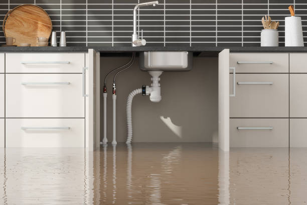 Best 24/7 water damage repair  in Elkins, WV