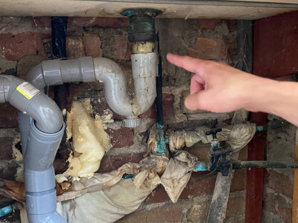  Elkins, WV Water damage restoration Pros