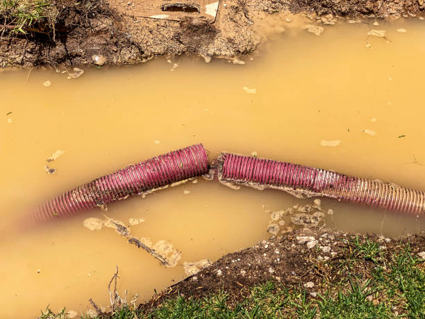 Best Water damage restoration company  in Elkins, WV